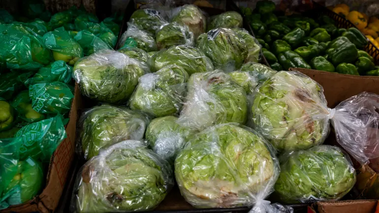 环孢子虫疫情冲击美国果蔬销售:沙拉拼盘与切菜包销量下滑