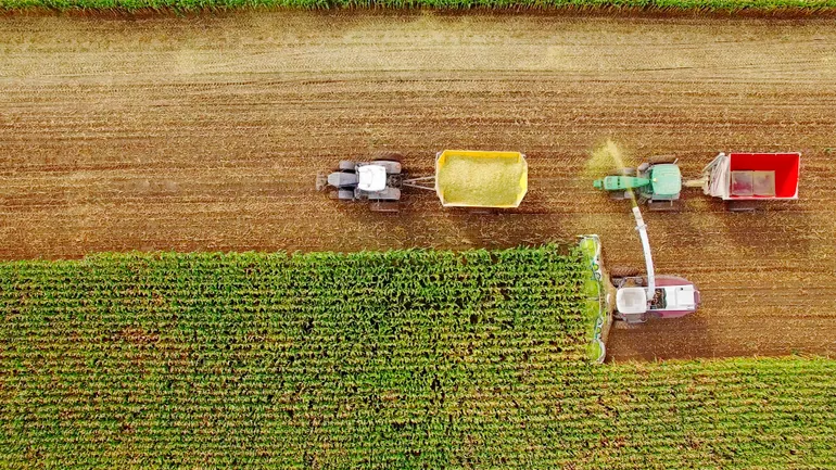 Beer giant Constellation Brands invests $100M in US farm profitability